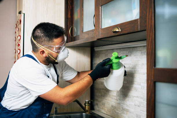 Best Mosquito Control Services  in Oak Grove Heights, AR