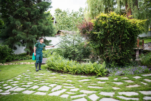 Best Pest Removal Services  in Oak Grove Heights, AR