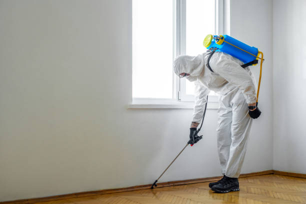 Best Best Pest Control Companies  in Oak Grove Heights, AR