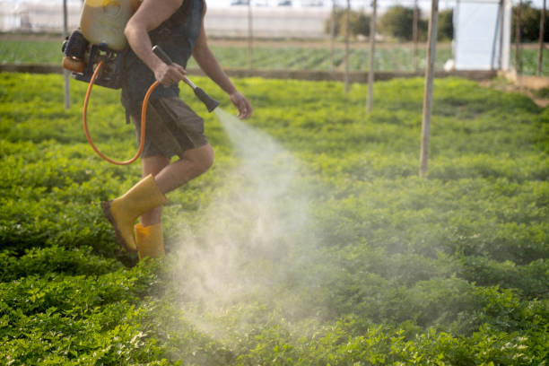 Best Affordable Pest Control Services  in Oak Grove Heights, AR