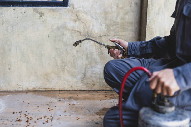 Best Residential Pest Control  in Oak Grove Heights, AR